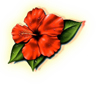 Hawaii State Flower Images - ClipArt Best