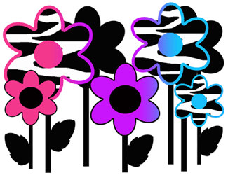 RAINBOW ZEBRA FLOWERS border decals teen girls