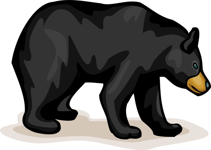 Black Bear Clipart - Tumundografico