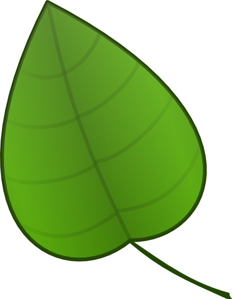 Rainforest leaf clipart