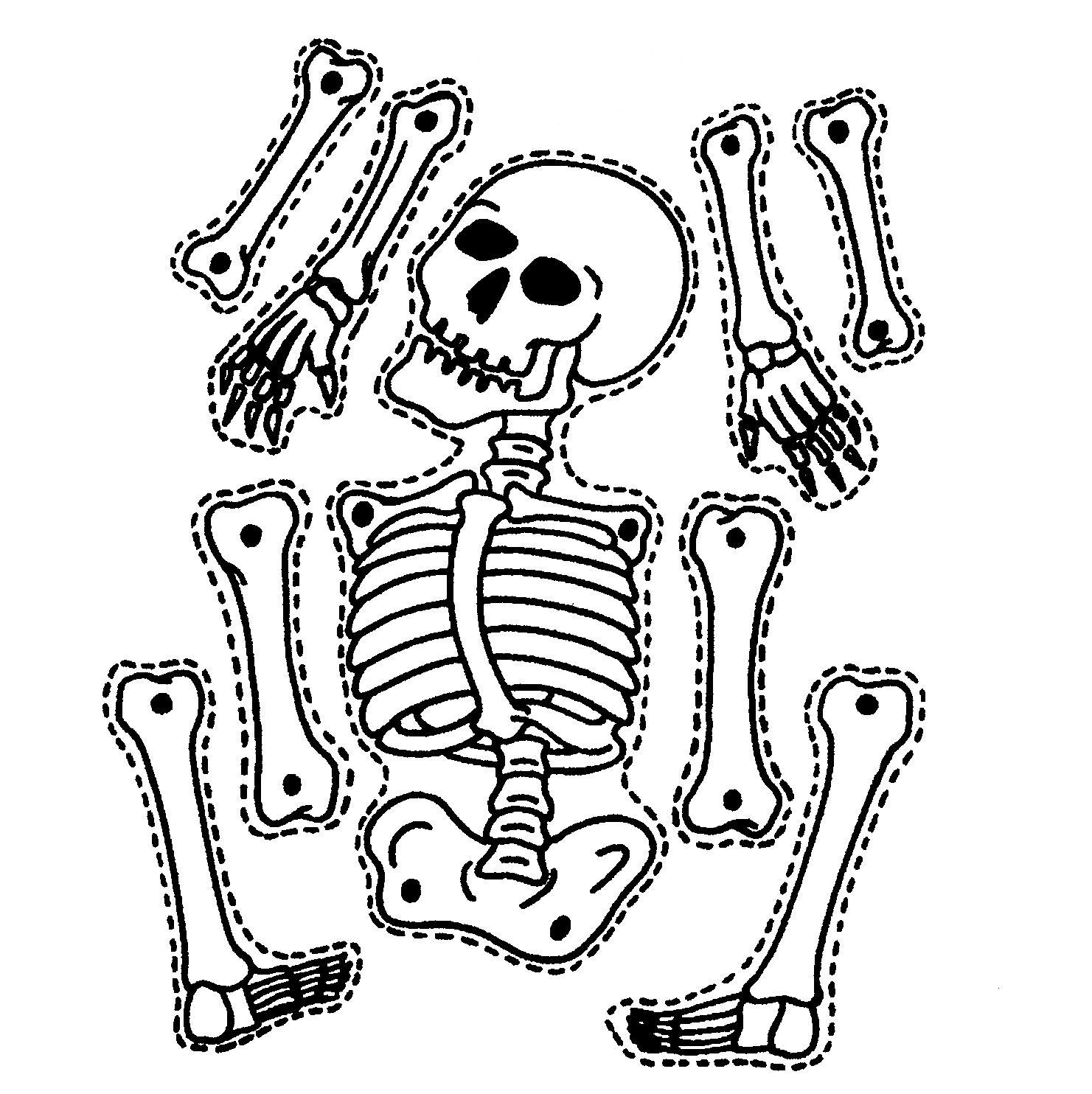 Halloween Skeleton Clipart - Free Clipart Images