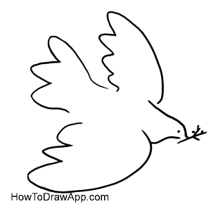 Dove of peace by Pablo Picasso -evolution of a bird into a symbol ...