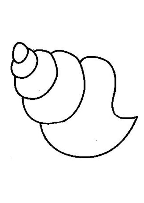 Best Photos of Cartoon Sea Shell Drawings - Cartoon Sea Shell Clip ...