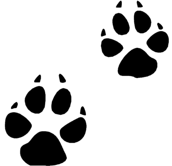 Animal Print Clipart | Free Download Clip Art | Free Clip Art | on ...