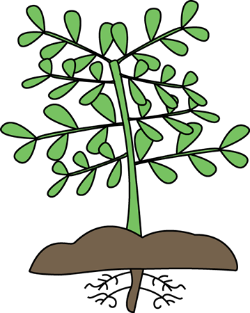 Free plant roots clipart