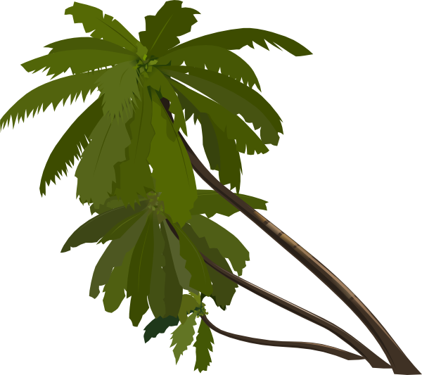 Cartoon Coconut Tree