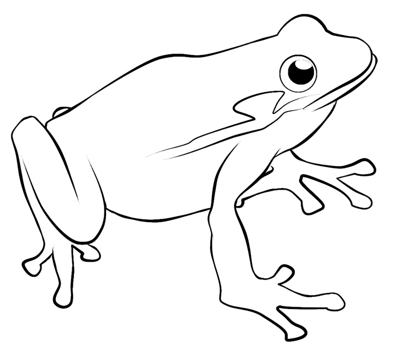 Frog withred eyes clipart black and white