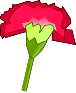 Carnation Clip Art Download