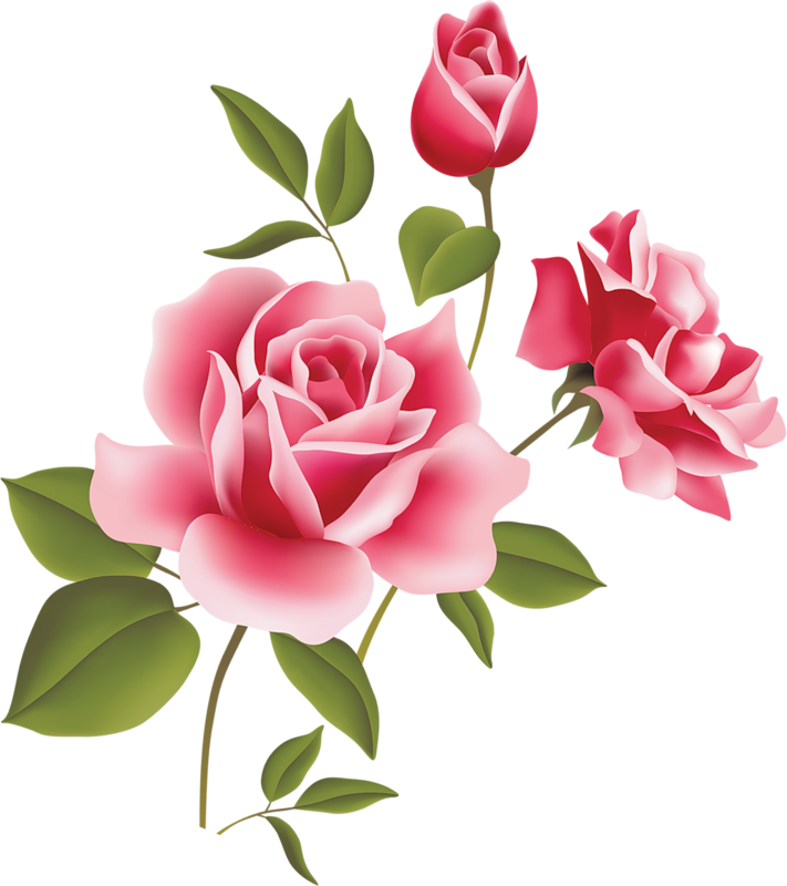 Rose Pictures Art | Free Download Clip Art | Free Clip Art | on ...