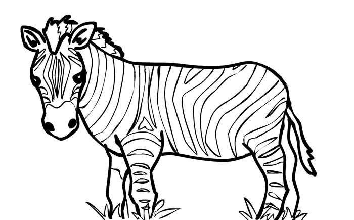 40+ Zebra Templates - Free PSD, Vector EPS, PNG Format Download ...