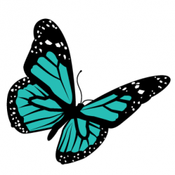 Butterfly clipart design