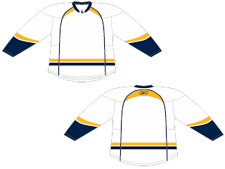 HockeyJerseyConcepts: June 2011