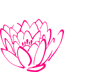 pink-lotus-bud-md.png