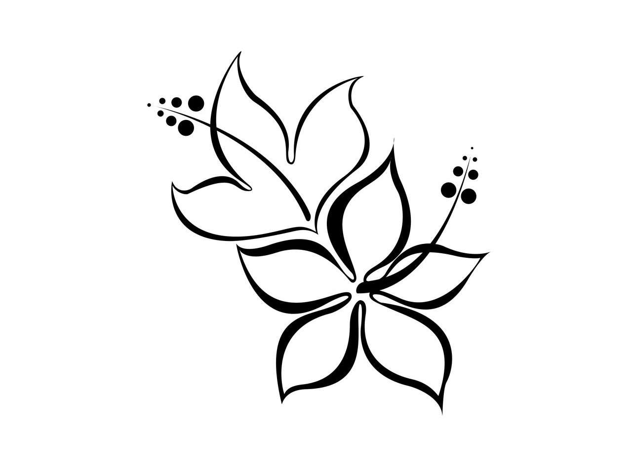 simple flower drawings in black and whiteFree designs Hibiscus ...