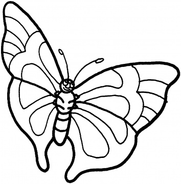 Monarch Butterfly Outline | Free Download Clip Art | Free Clip Art ...