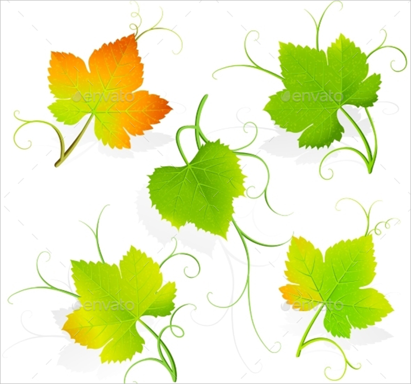 grape-leaf-template-clipart-best