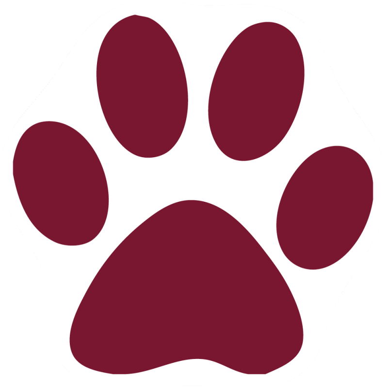 maroon paw Gallery