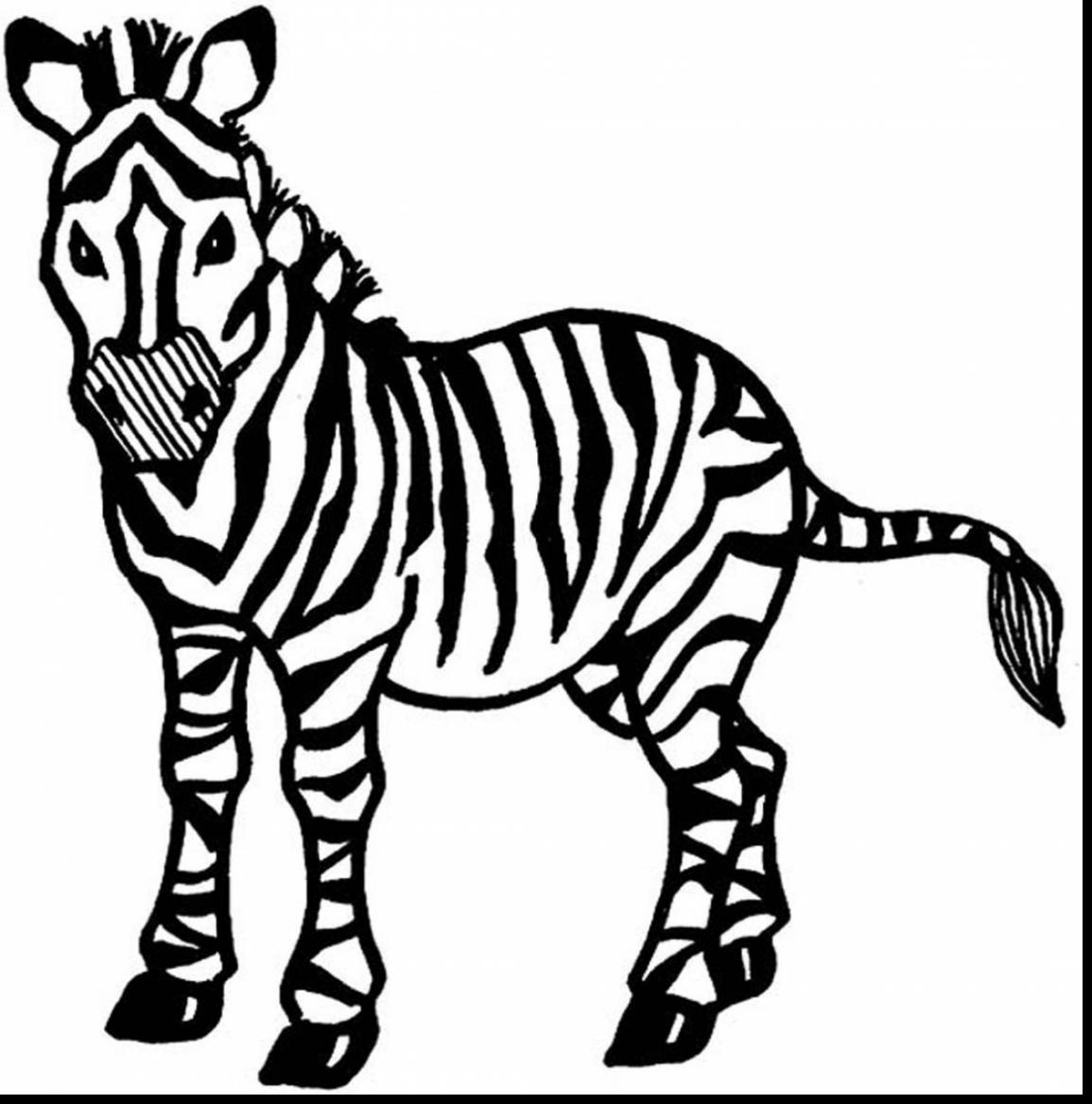 incredible zebra coloring pages with zebra coloring page ...