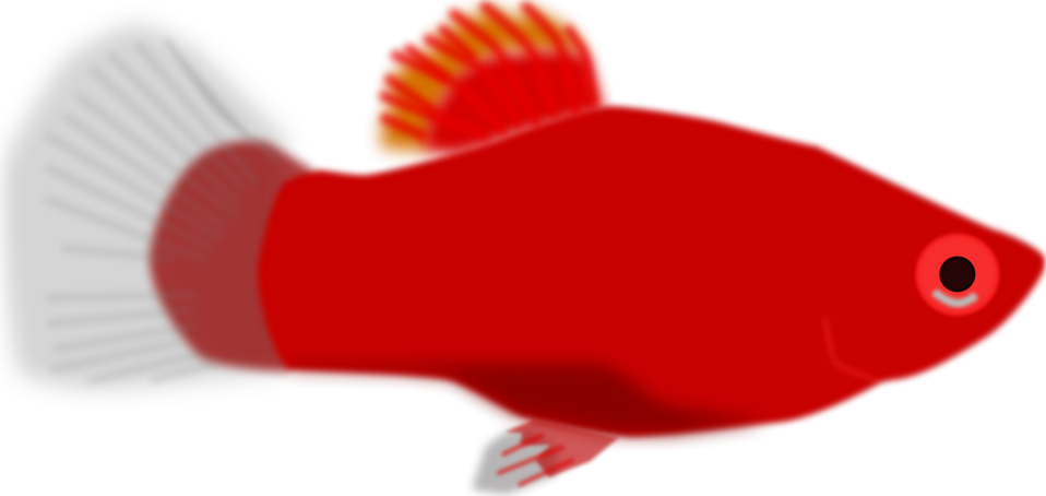 Fish | Free Stock Photo | Illustration of a red fish | # 16753