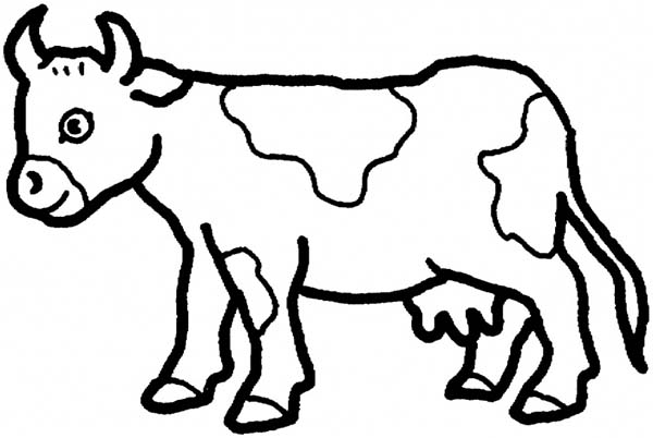 cow coloring page cow for kids - Coolage.net