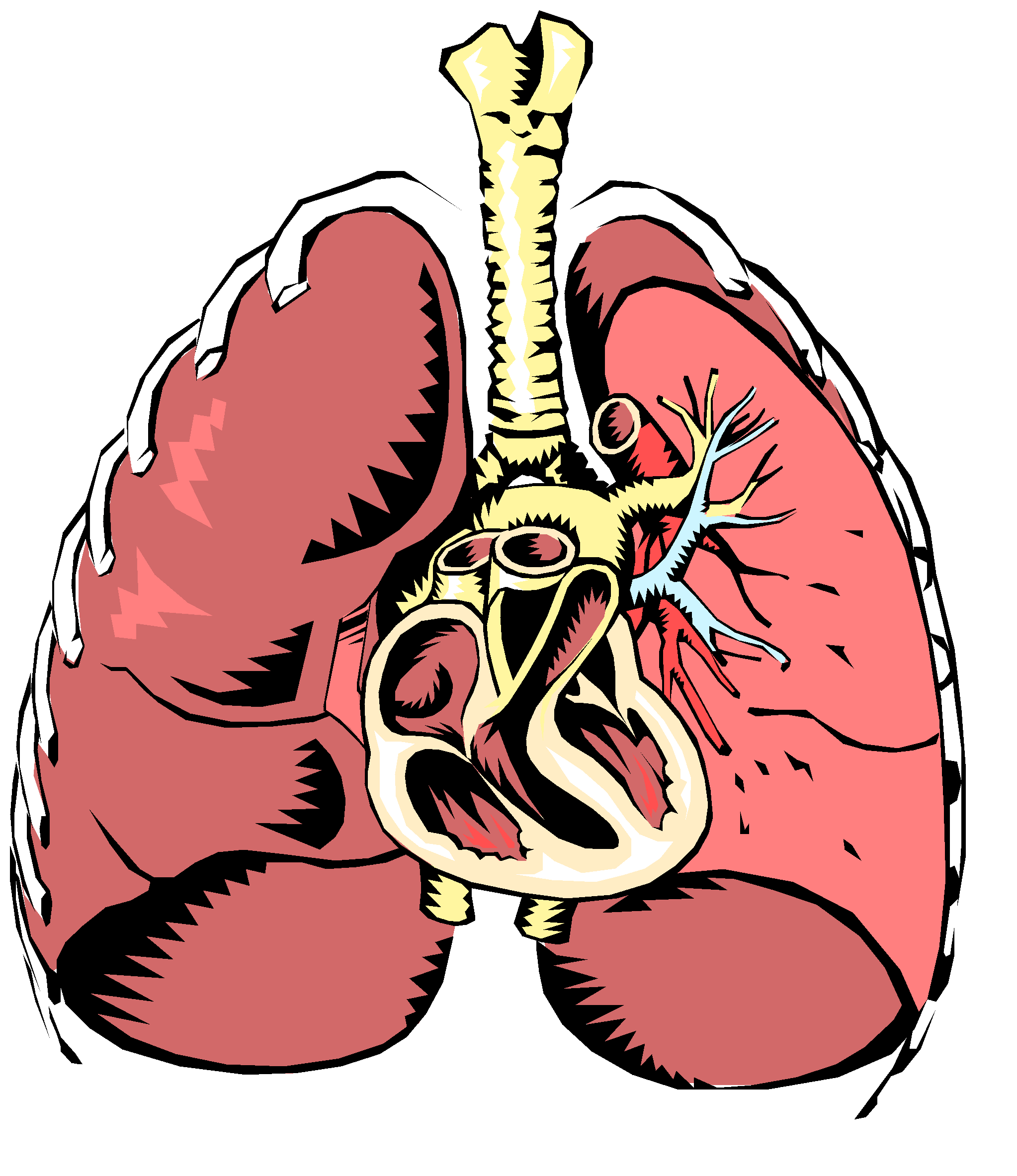 Respiratory System Cartoon Pictures ClipArt Best