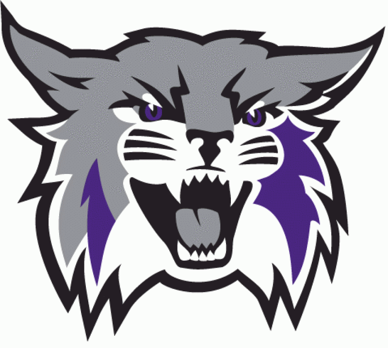 Wildcat track and field holds sale of old gear - Weber State ...