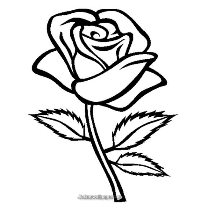 Flower Coloring Pages - Dr. Odd