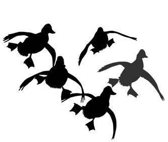 Duck Hunting Clipart - Tumundografico