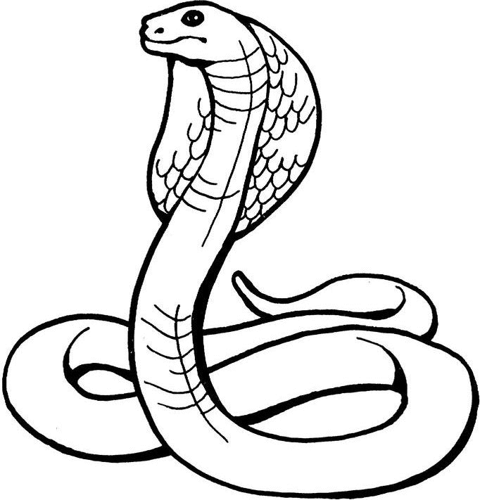 Cobra Snake Cartoon - ClipArt Best