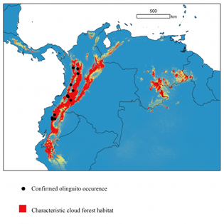 deforestation | OnEarth Magazine