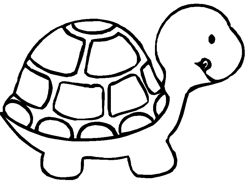 Turtle Line Art