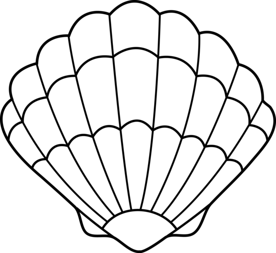 Seashell Clipart