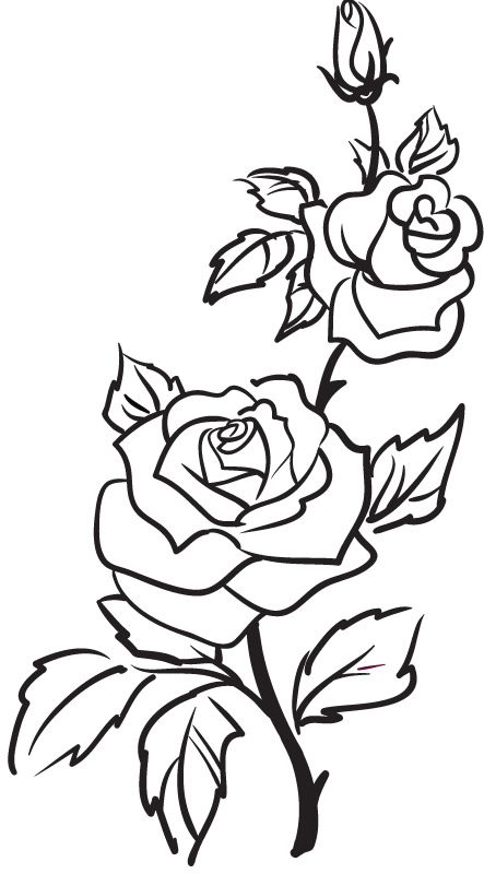 Rose Outline | Rose Outline Tattoo, Flower Outline Tatto…