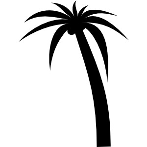 Palm Tree clip art - Polyvore