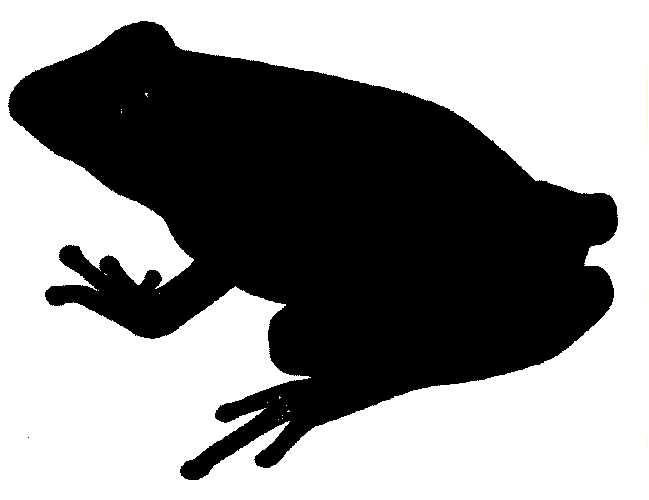 frog silhouette - Google Search | Project - SF Design | Pinterest