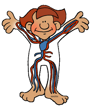 Free Human Body Clip Art by Phillip Martin