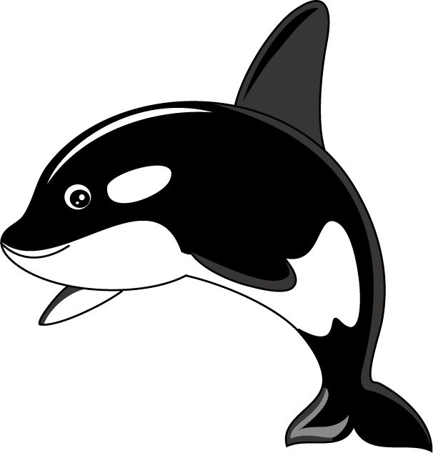 Orca Clip Art