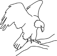 Bald Eagle Drawings - ClipArt Best - ClipArt Best