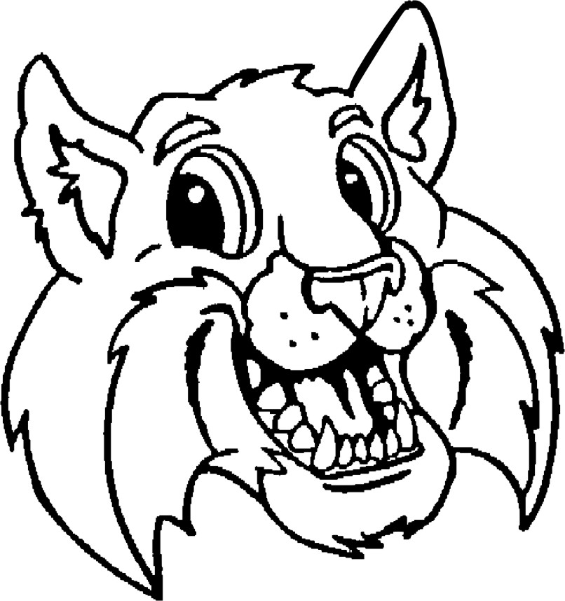 Cartoon Wildcat Clipart