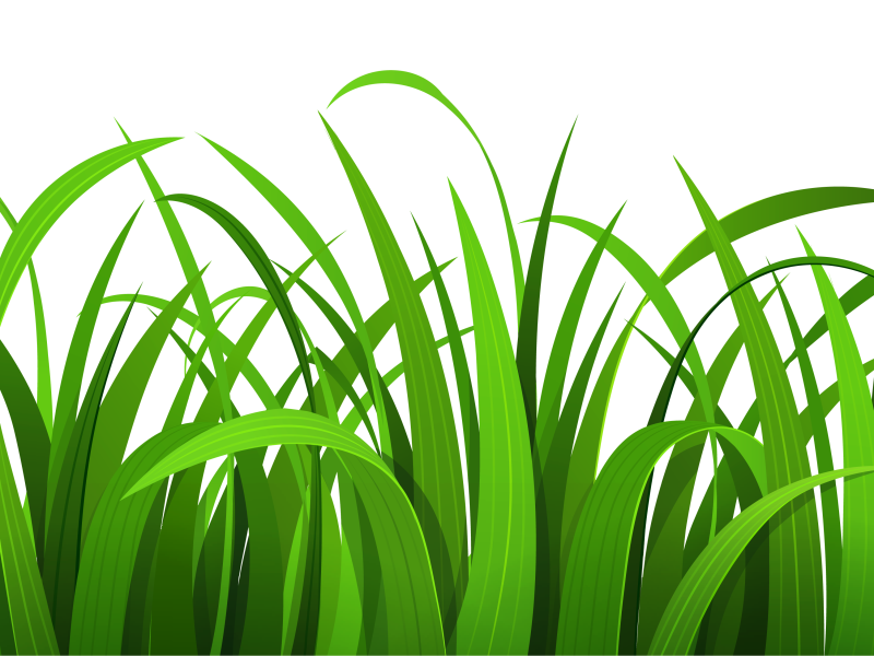 Grass clip art free free clipart images 5 - Cliparting.com