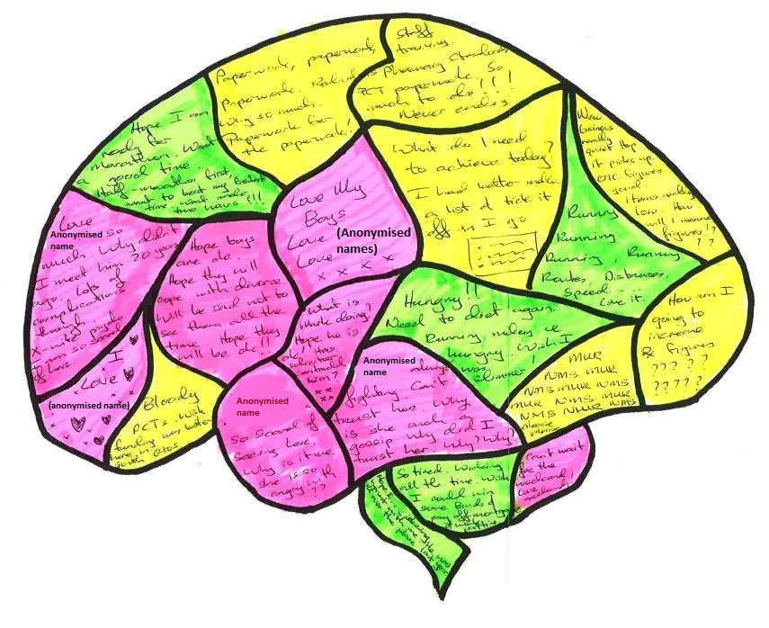 Unlabeled Diagram Of The Brain