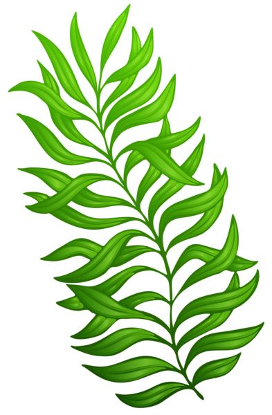 Clipart images, Green and Plants