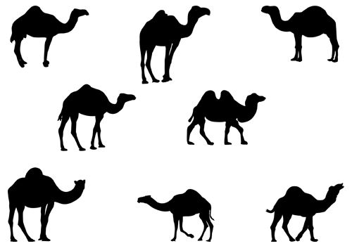 Clip art, Camel and Silhouette