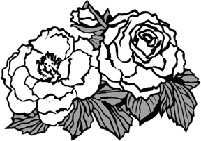 Drawings of Roses Made Easy With Your First Sketch