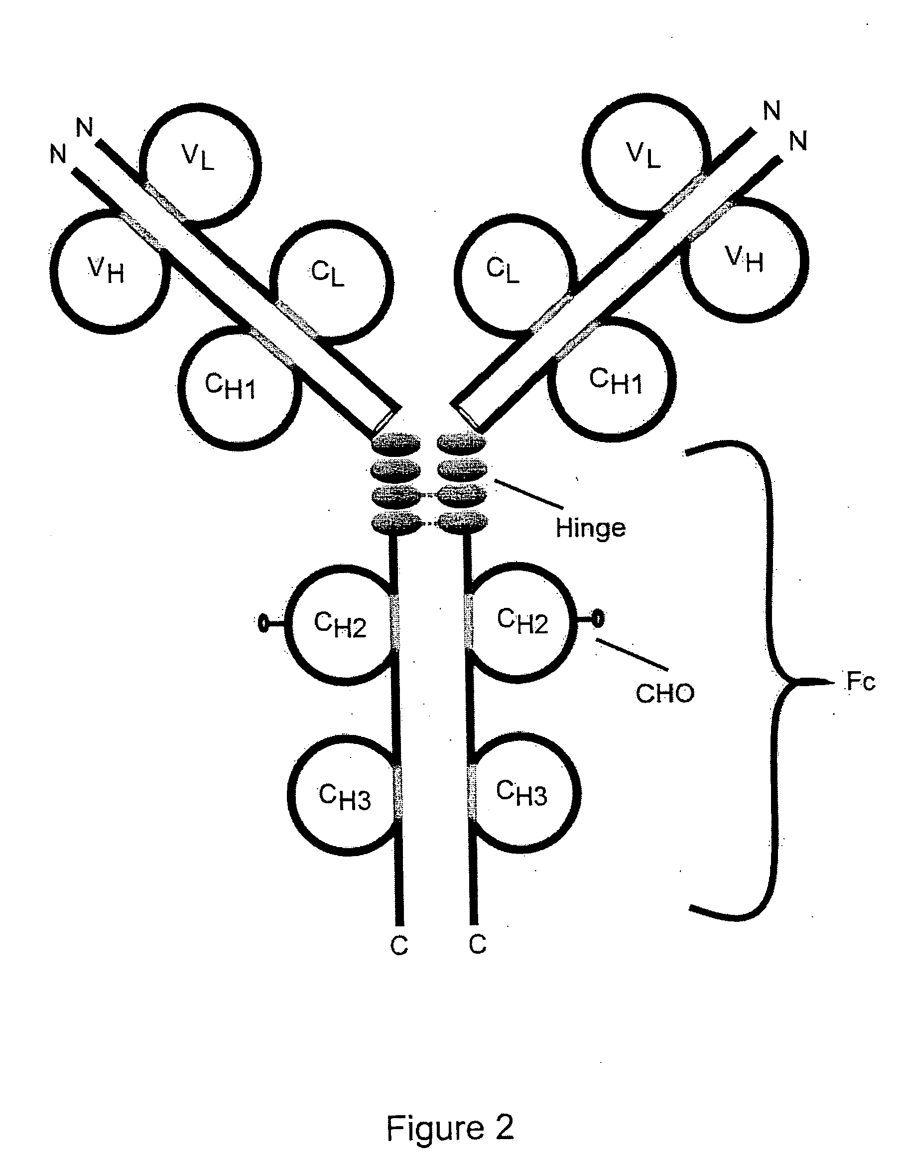 Patent US20060034852 - TACI-immunoglobulin fusion proteins ...