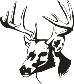 Deer Head Decal, wild aminal decals, animal stickers, pet decals ...