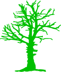 Tree clip art - vector clip art online, royalty free & public domain