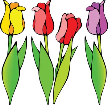 Colored tulip Free Vector / 4Vector