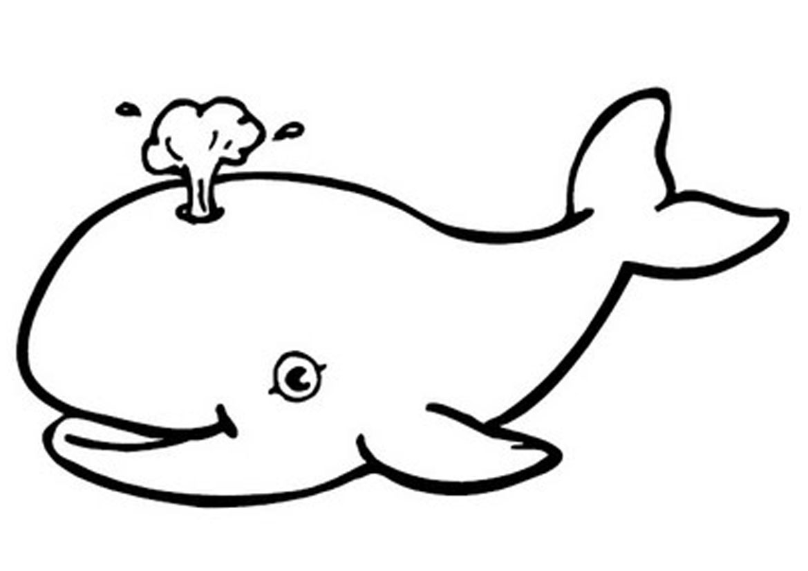 Free whale clipart black and white