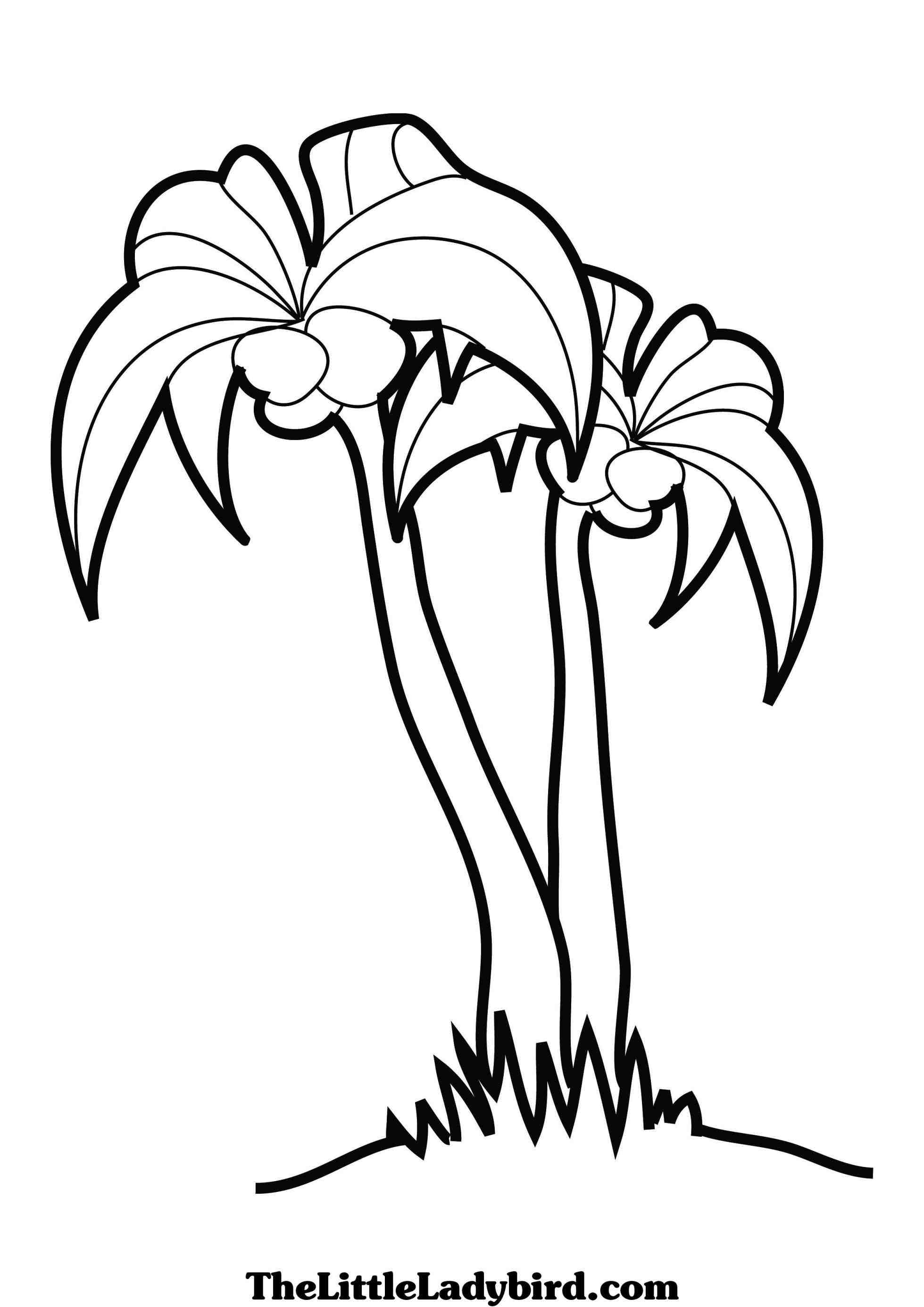 palm tree and beach coloring page › ngorong.club